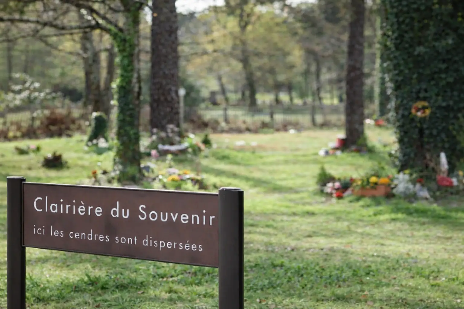 Livraison fleurs crématorium Mérignac : infos et conseils